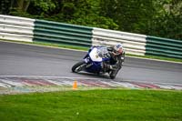 cadwell-no-limits-trackday;cadwell-park;cadwell-park-photographs;cadwell-trackday-photographs;enduro-digital-images;event-digital-images;eventdigitalimages;no-limits-trackdays;peter-wileman-photography;racing-digital-images;trackday-digital-images;trackday-photos